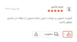 Picsart 25 01 27 11 24 33 253Picsart 25 01 27 11 24 33 253 63 11zon e1752305140803 - گالری پرده و پارچه ارکیده استاجی پرده ژاکارد سیم‌ دوزی شده پرده پذیرایی